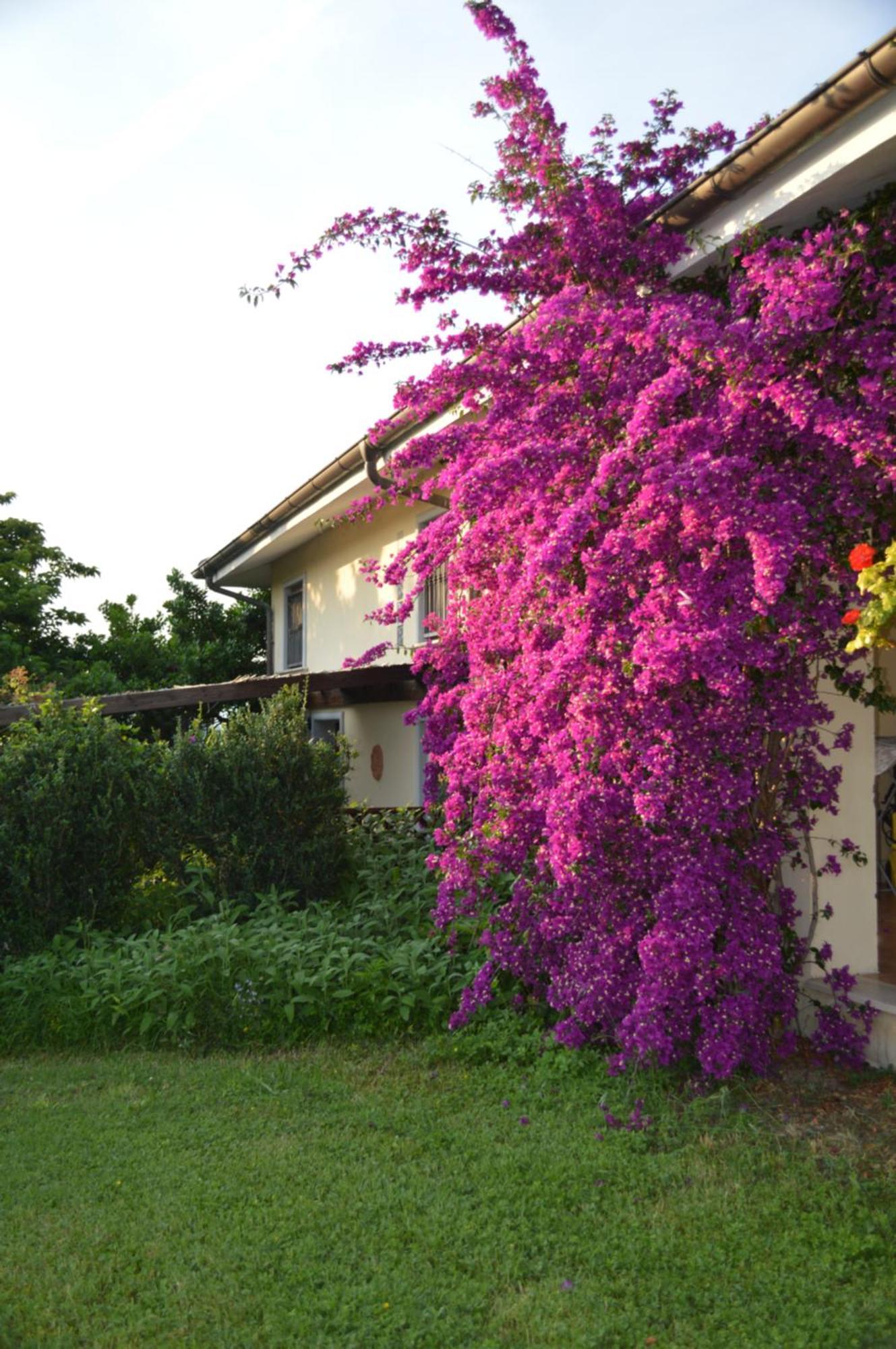 Villa Collebelvedere - Near Rome With Home Restaurant Fara in Sabina Eksteriør bilde